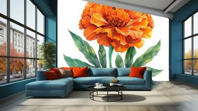 a marigold clipart, floral element, watercolor illustration, bright orange, isolated on white background transparent background Wall mural