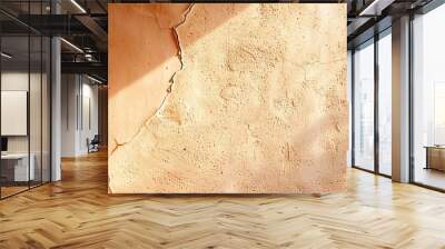 A rustic adobe wall with a warm, earthy color and rough texture, offering a traditional and cozy background. Wall mural