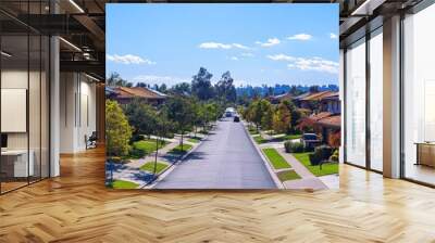 Rooftop solar panels on residential homes in a suburban neighborhood, under a bright sunny sky, symbolizing accessible green energy Wall mural