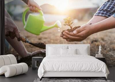 Environment earth day, Hands of tree man helping were planting the seedlings and growing of young sprout trees growing into the soil in the garden, protection for care new generation Wall mural