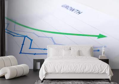 Financial graphs showing growth Wall mural