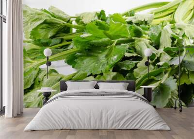 Green celery leaves Wall mural