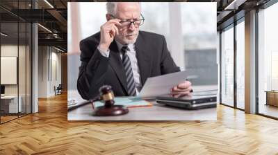 Lawyer reading legal document Wall mural