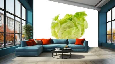 Fresh raw green butterhead lettuce leaf on white background, Vegetable from Organic farm ingredient for cooking healthy or vegetarian food salad in spring and summer season Wall mural