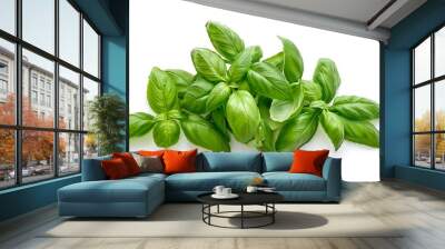 Fresh Green Basil Leaves Isolated on White Background Wall mural