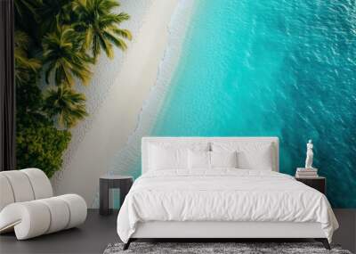 Aerial shot of a white sand beach with turquoise waters, perfect for nature and travel photography Wall mural