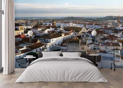 Aerial view of the roofs and buildings of Vélez-Málaga at sunset, Spain, Europe Wall mural