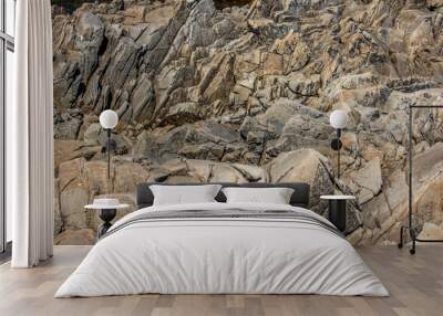 Stone texture Wall mural