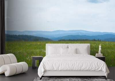 black forest, germany - may 28th 2022: fantastic view over a wildflower meadow into the wide landsca Wall mural