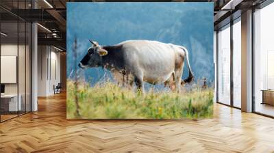 cow in field on mountain Wall mural