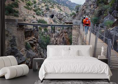 El Caminito del Rey - The King's Little Path in El Chorro, Málaga  Spain Wall mural