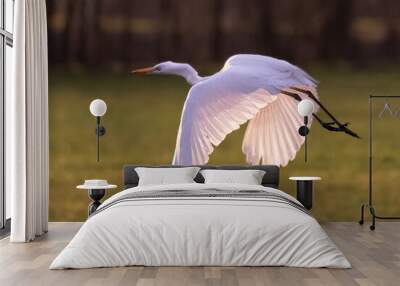 Flying Heron Wall mural