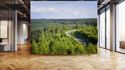 high angle view of a curving road in the black forest region ( b500 ) Wall mural