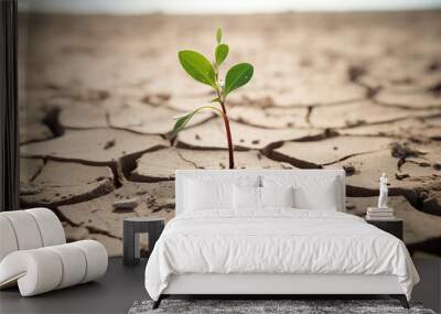 Growth of a plant in a dry cracked desert Wall mural