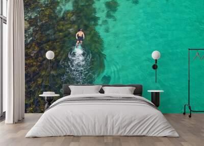 snorkeling over seaweed in the blue waters of the Pacific Ocean. Wall mural