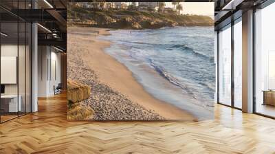 La Jolla Shorelines Wall mural