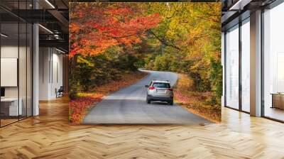 New Hampshire-Franconia Wall mural