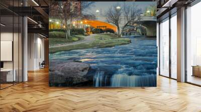 Reedy River Wall mural