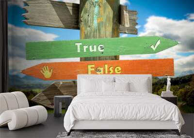 Street Sign True versus False Wall mural