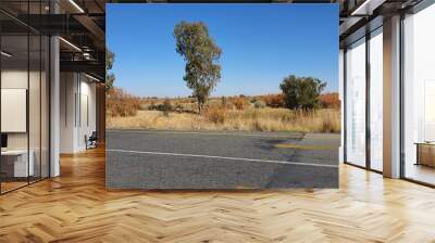 road in autumn Wall mural