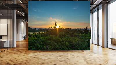 sunrise Wall mural