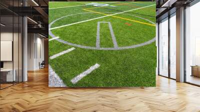 Synthetic turf multi sport field with soccer, football, lacrosse and softball pitching circle lines in white, gray, yellow and red.  Wall mural