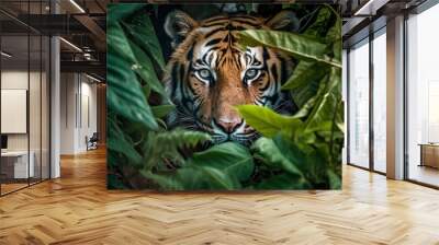 tiger in the jungle Wall mural