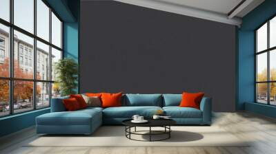 Deep charcoal grey color background, fully uniform Wall mural