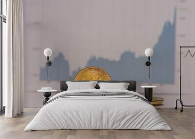 standing bitcoins net to each other with a unsharp fluctuating stock market chart in the background middle Wall mural