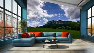 white clouds on blue sky in the green nature in summer Wall mural