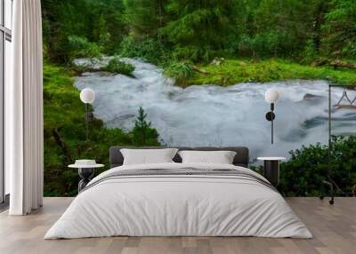 wonderful white cold rushing mountain brook between a green landscape Wall mural