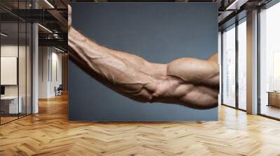 close-up shot of a man's bicep Wall mural