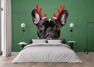 french bulldog dog wearing christmas reindeer antler headband and bow tie in front of green background Wall mural