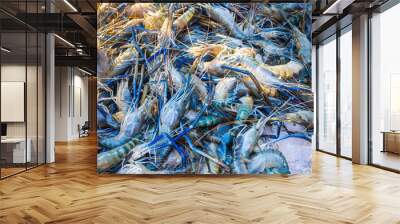 Fresh prawns Wall mural