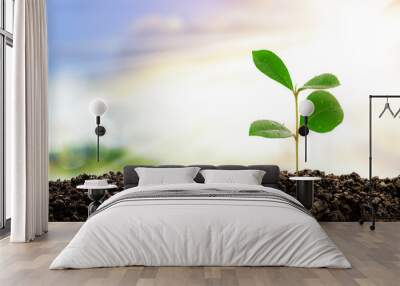 Young tree growth Has a solar rising background abstract concept Wall mural