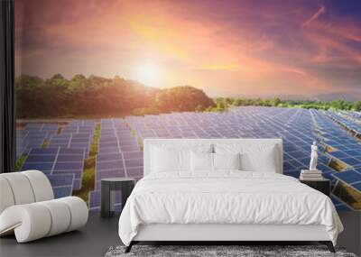 Solar panels with sunset  sky (Solar farm) Wall mural