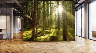 Golden sunlight break the dense lush green evergreen forest deep in the wilderness of the pacific northwest with magical sun rays Wall mural