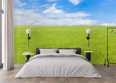 green field and blue sky with light clouds Wall mural