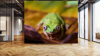 Lemur tree frog on a banana leaf Wall mural