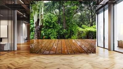 Wooden Boards and Forest Wall mural