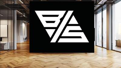 BS Logo monogram triangle two side images design template Wall mural