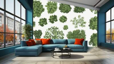 a collection of trees and shrubs on a white background Wall mural