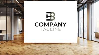 Letter B Letter S Logo Design Wall mural