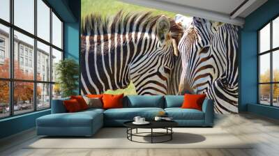 Bergzebras Mutter und Sohn 1140331 Wall mural