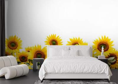 Bright yellow sunflower field Shining on transparent background Wall mural