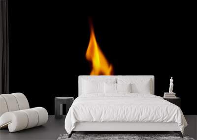 burning match on black background Wall mural