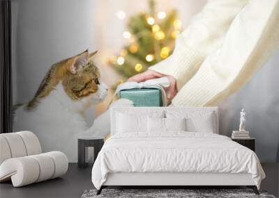 woman hand holding new year gift box and send to her cat with christmas tree background Wall mural