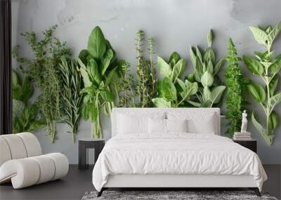 Assorted fresh herbs laid out on a marble surface - An array of fresh culinary herbs laid flat on a white marble surface for display and identification Wall mural