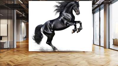 Beautiful black horse isolated on white. Wall mural