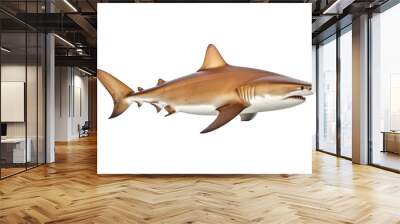 beautiful shark swimming isolated on white Wall mural